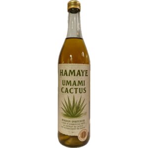 Hamaye Umami Cactus