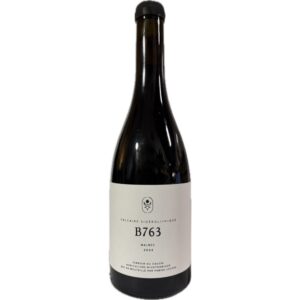 Fabien Jouves B763 2022